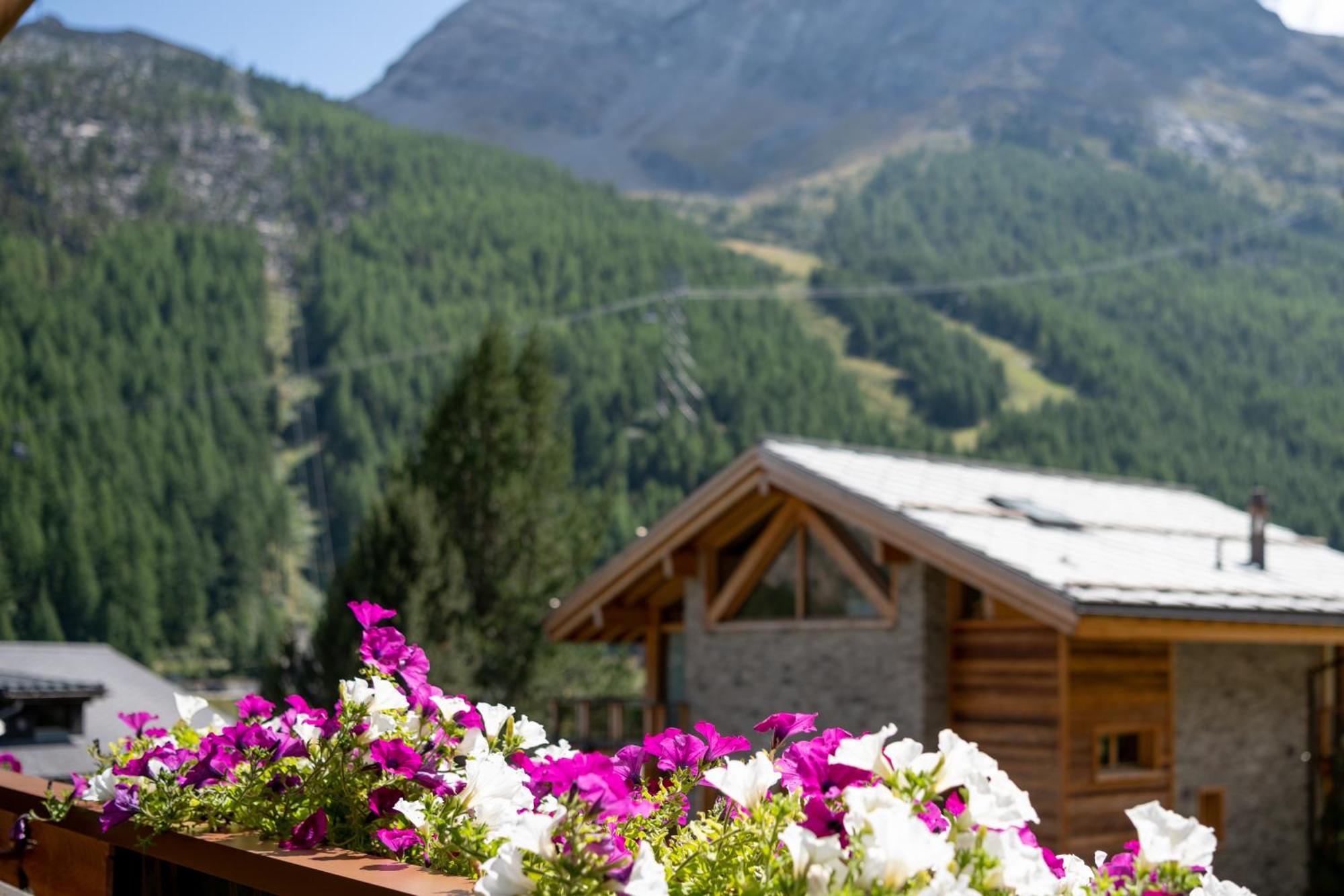 Haus Avalanche Leilighet Saas-Fee Rom bilde